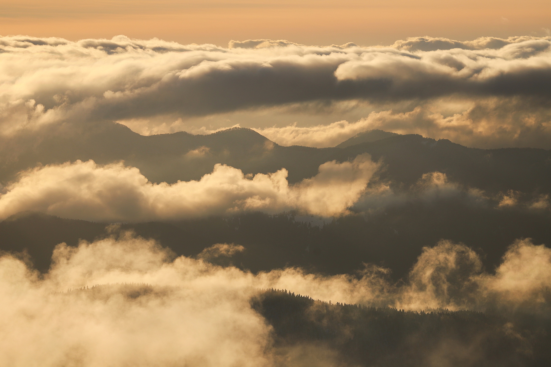 Matej Ferenčík, kniha Srdcom v Karpatoch