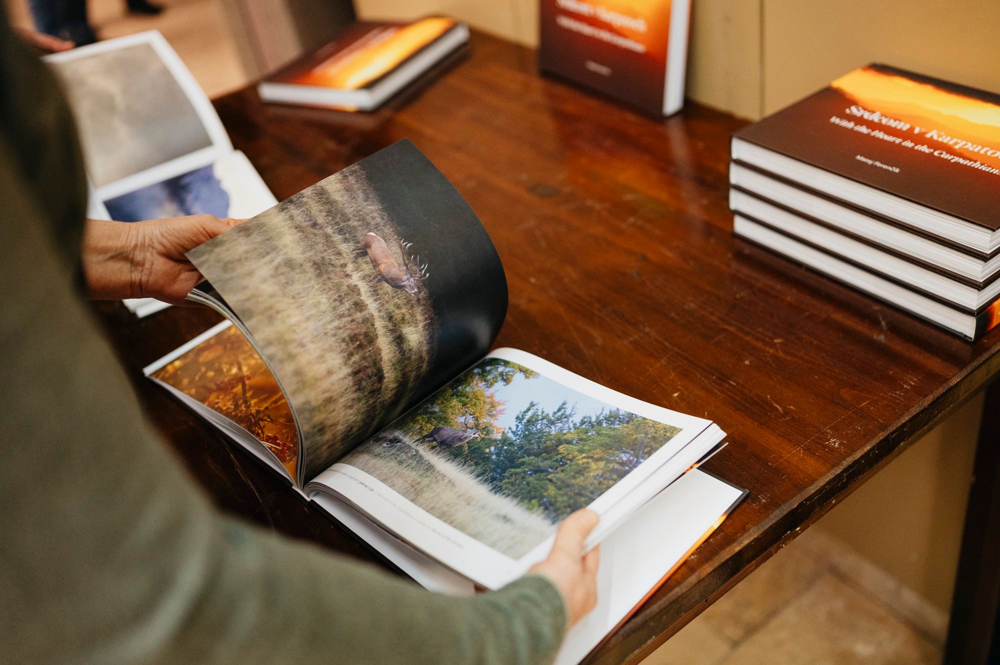 Matej Ferenčík, kniha Srdcom v Karpatoch